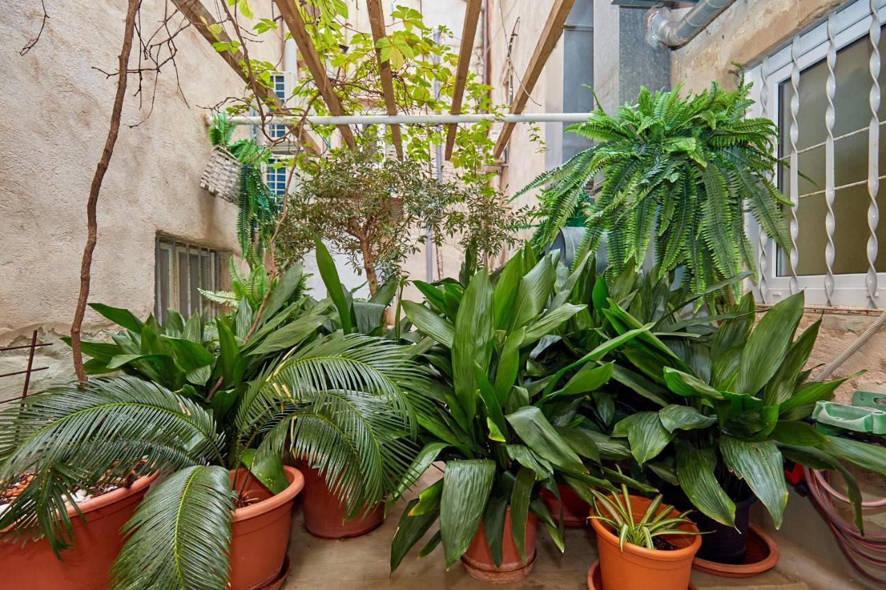 Apartment Hidden Gem Old Town